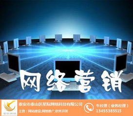 星際網絡 專業互聯網營銷與銷售解決方案提供商