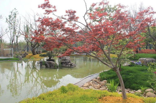 解讀園林綠化施工全過程,教你如何成為綠化行業(yè)大佬