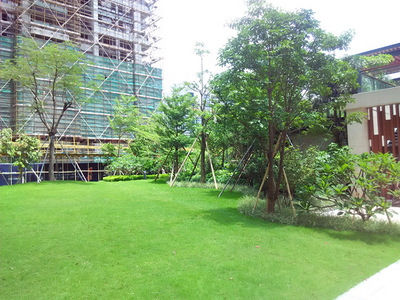 石龍景觀工程公司服務(wù)公司評價(jià)_佛嶺景觀