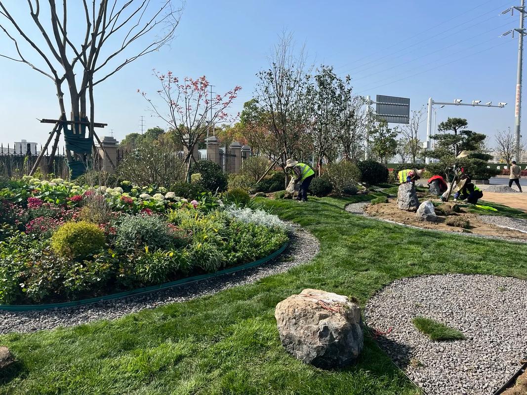 園林綠化工程 #施工現場實拍