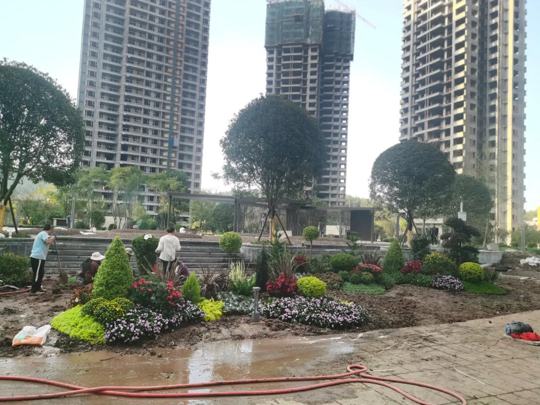 地產(chǎn)項(xiàng)目大門入口節(jié)點(diǎn)花境設(shè)計(jì)施工~#園林綠化工程 #施工現(xiàn)場