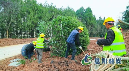 假期不停工，大梁山城市公園建設(shè)加速推進(jìn)體育場(chǎng)地設(shè)施工程
