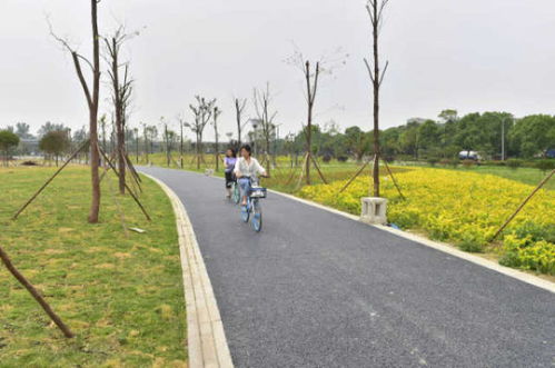 綿陽(yáng)再添綠色新名片 大型公園試開園，園林綠化工程圓滿竣工