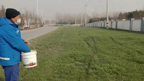 勤梳妝 綠護(hù)忙 四招聚力園林綠化精細(xì)化管養(yǎng)與工程施工