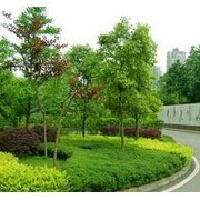 重慶市飛揚(yáng)景觀園林設(shè)計(jì)建設(shè)與園林綠化工程施工