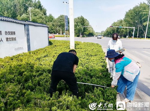 青州市園林綠化和環衛中心 卡準綠化施工精度尺，拉緊項目驗收質量繩——以高標準打造體育場地設施工程