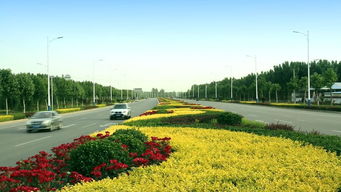 綠動磁州，健行未來 八項重點工程繪就園林縣城新畫卷